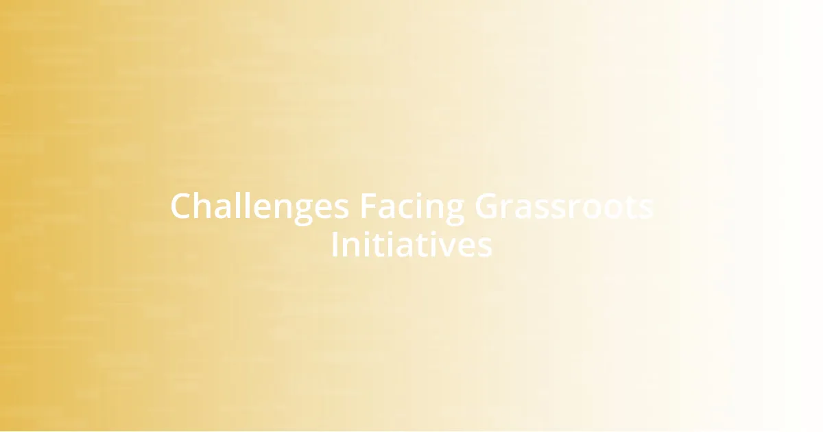 Challenges Facing Grassroots Initiatives